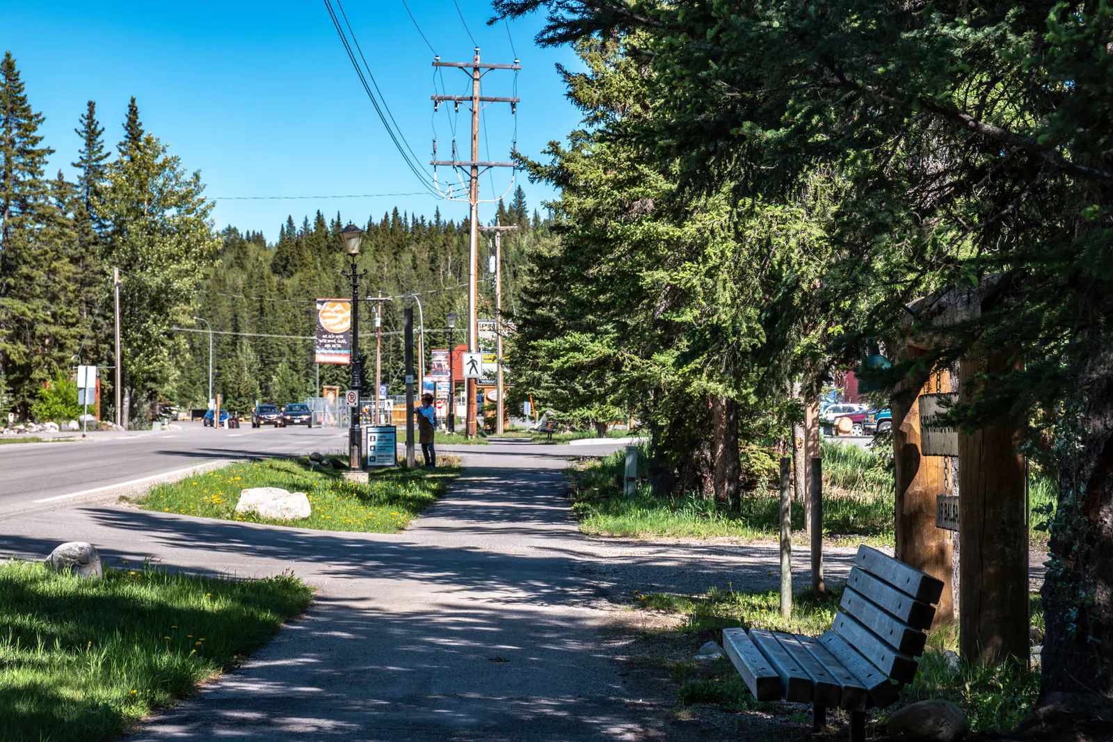 Forest pathway through tall spruce in the hamlet of Bragg Creek