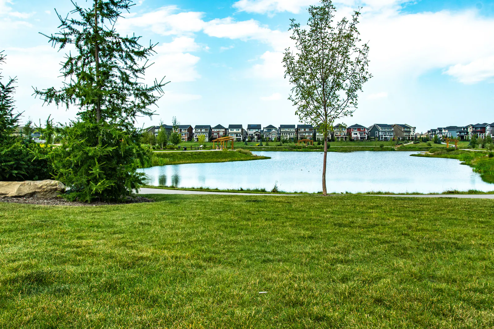 A calm pond and young trees in Cochrane
