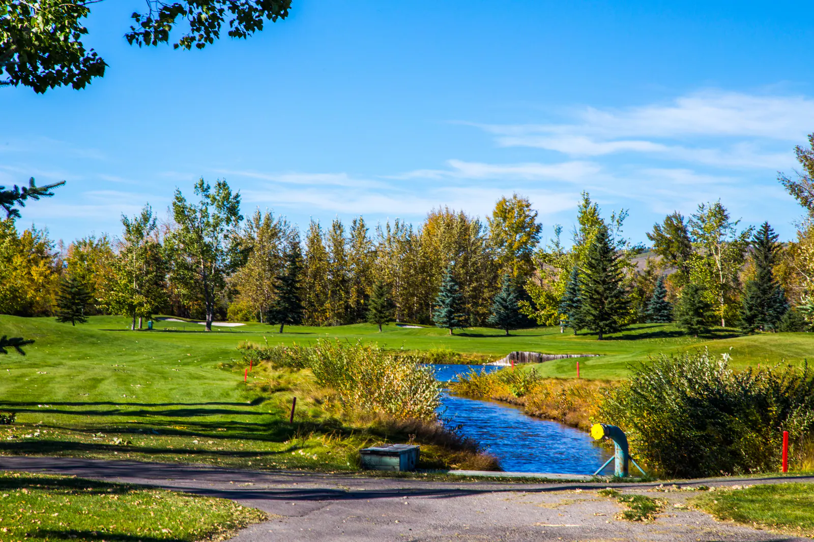 A creek winding through willow and spruce in Elbow Valley