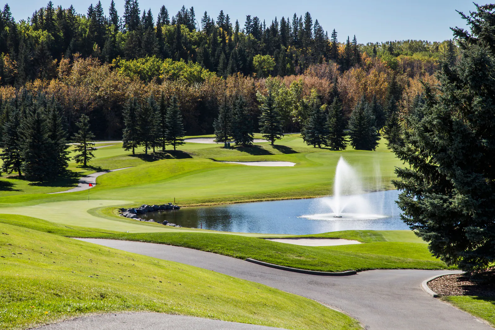 A fountain pond and spruce stands in Elbow Valley