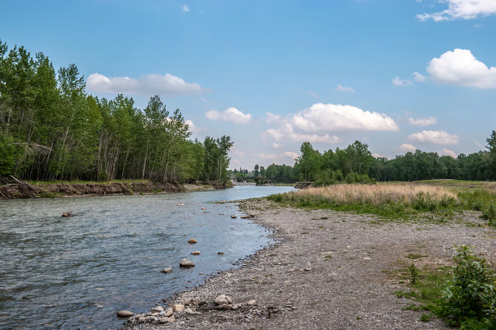 The Sheep River braiding over gravel bars near Okotoks