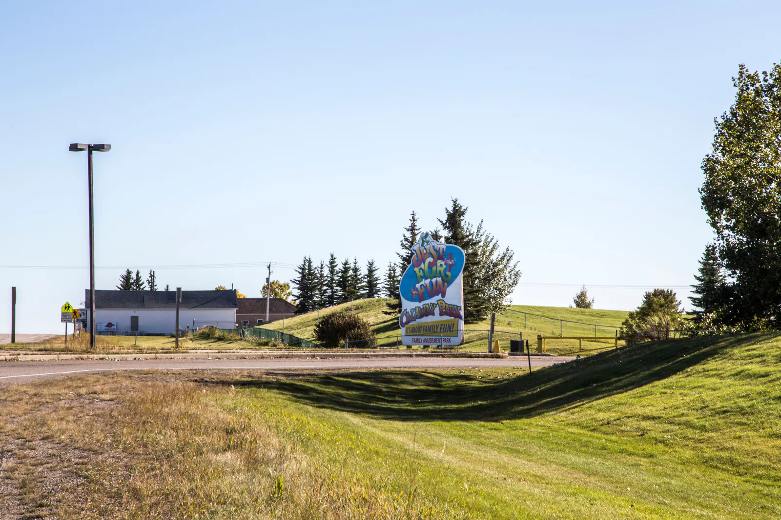 Open country and a windbreak of spruce in Springbank